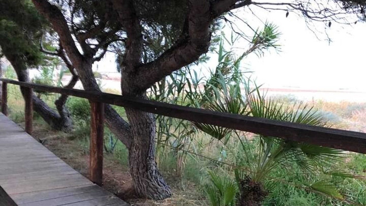 Photo of Outdoor in Alcossebre