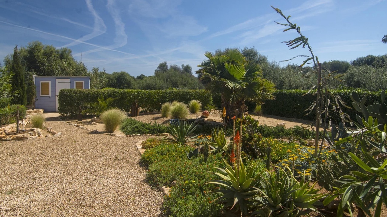 Photo of Outdoor in Cala Llombards