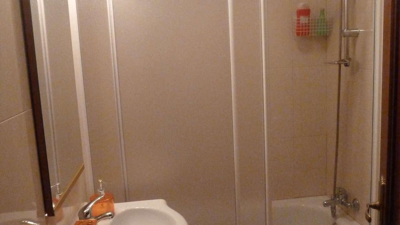 Photo of Bathroom in Aldeadavila de la Ribera