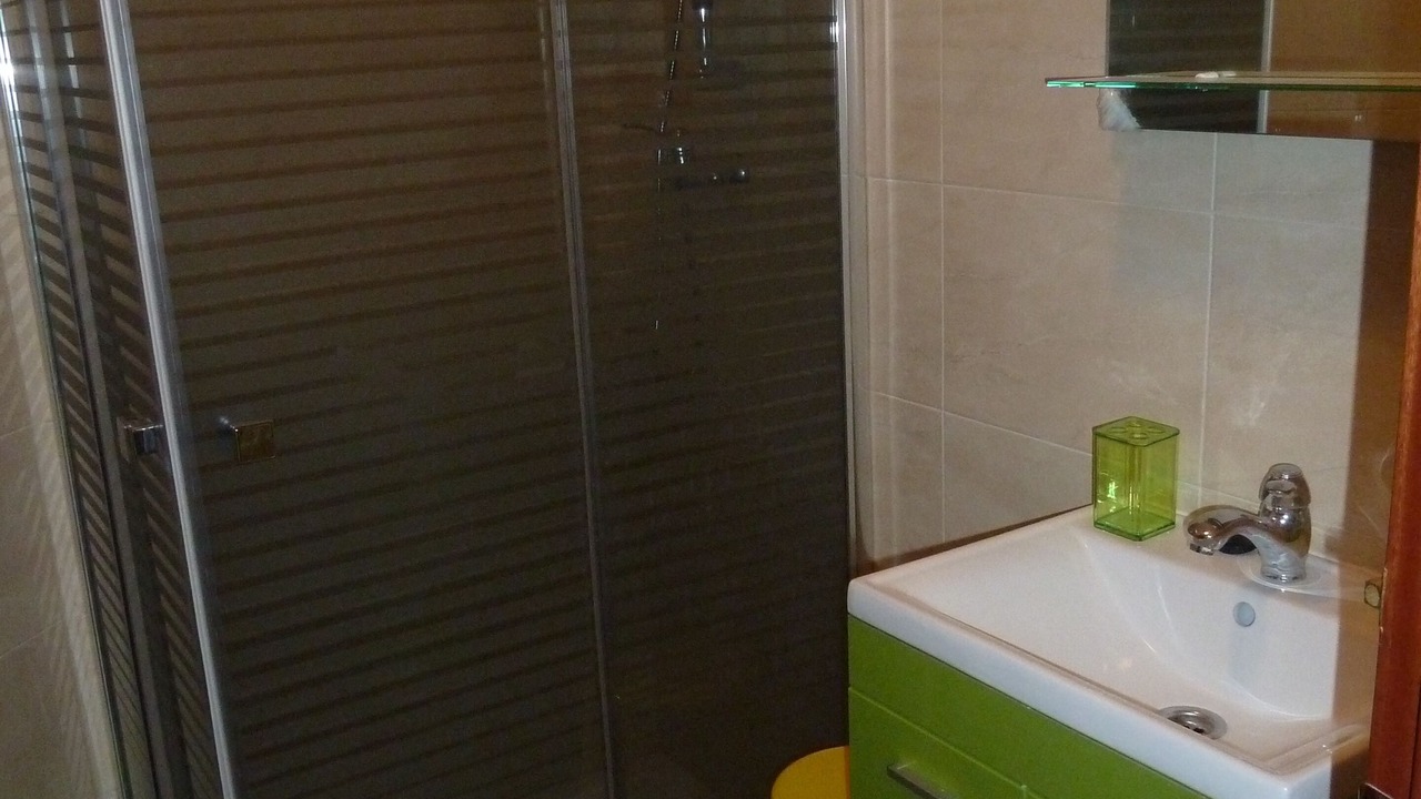 Photo of Bathroom in Aldeadavila de la Ribera