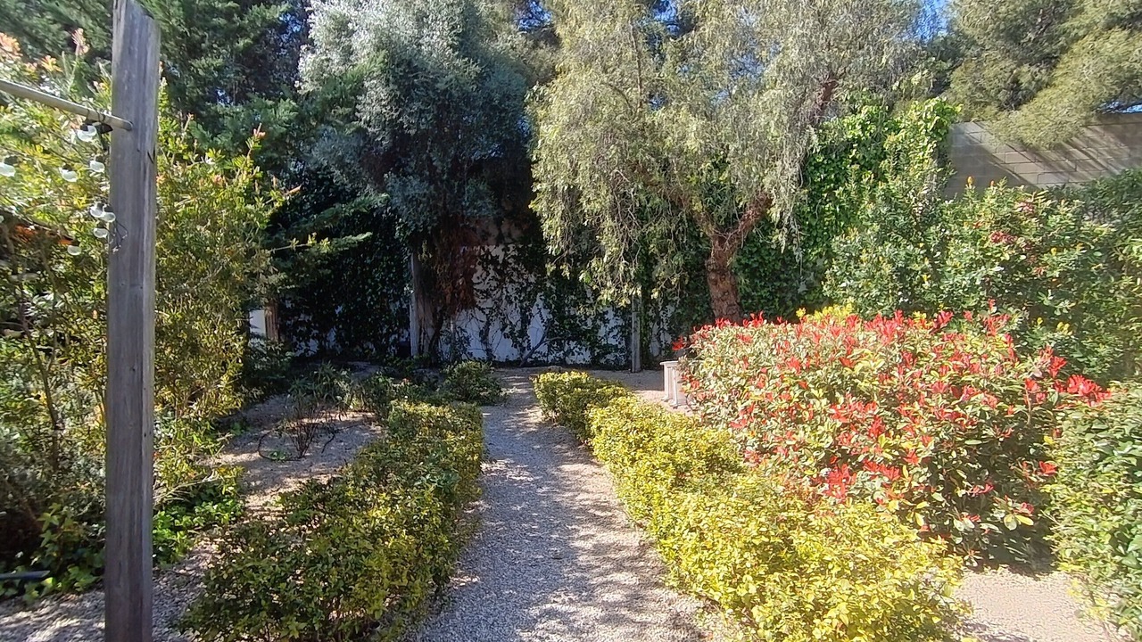 Photo of Outdoor in Palma de Mallorca