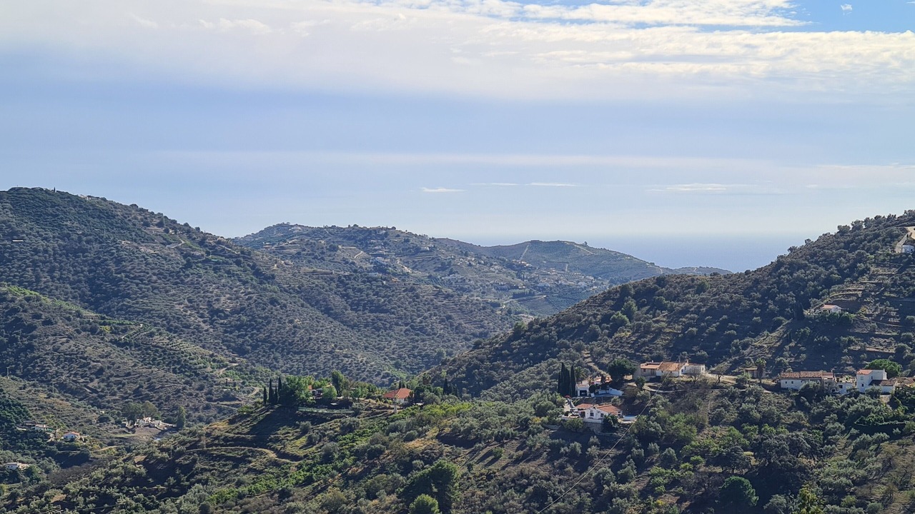 Photo of Others in Competa