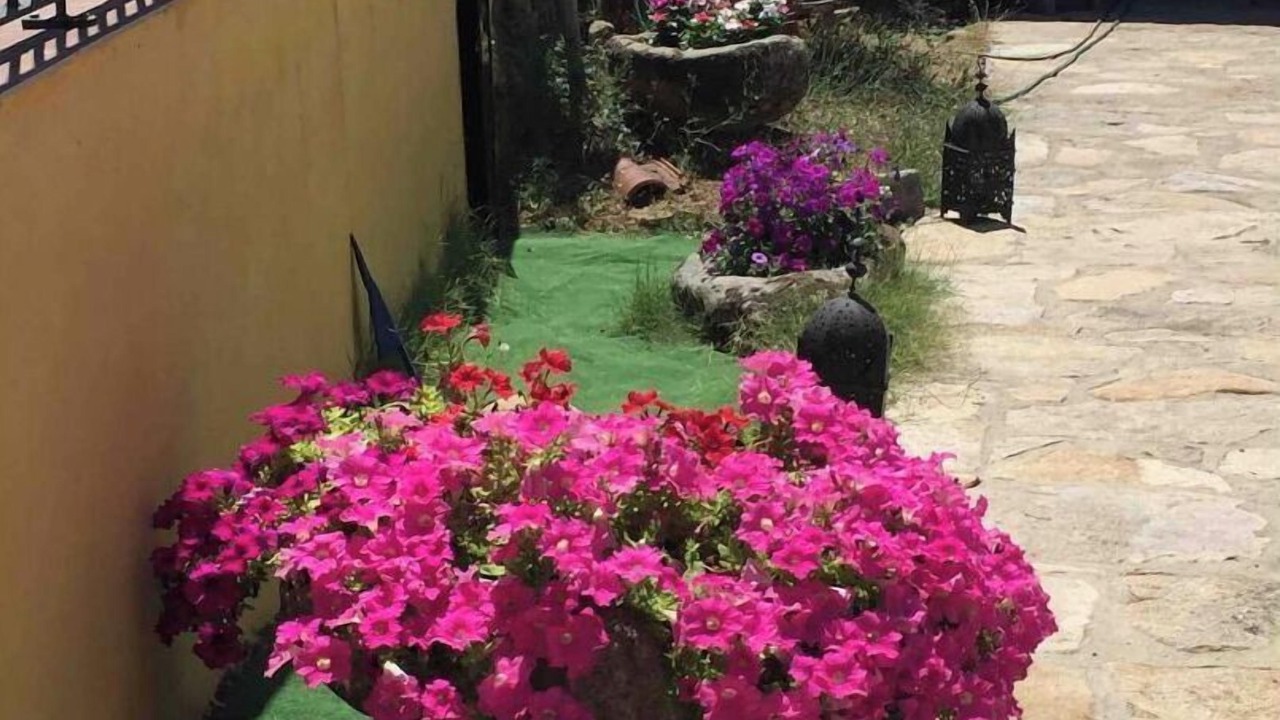 Photo of Outdoor in Fariza