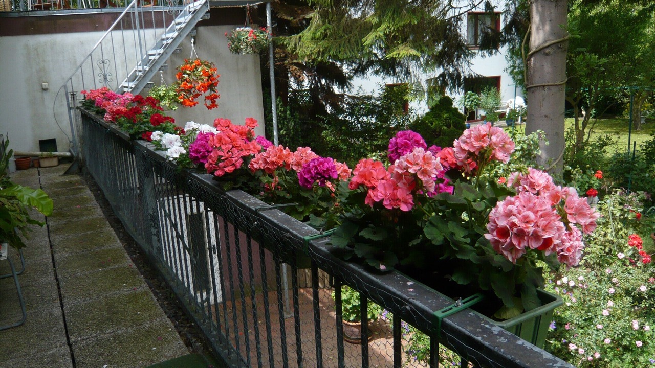 Photo of Outdoor in Cala