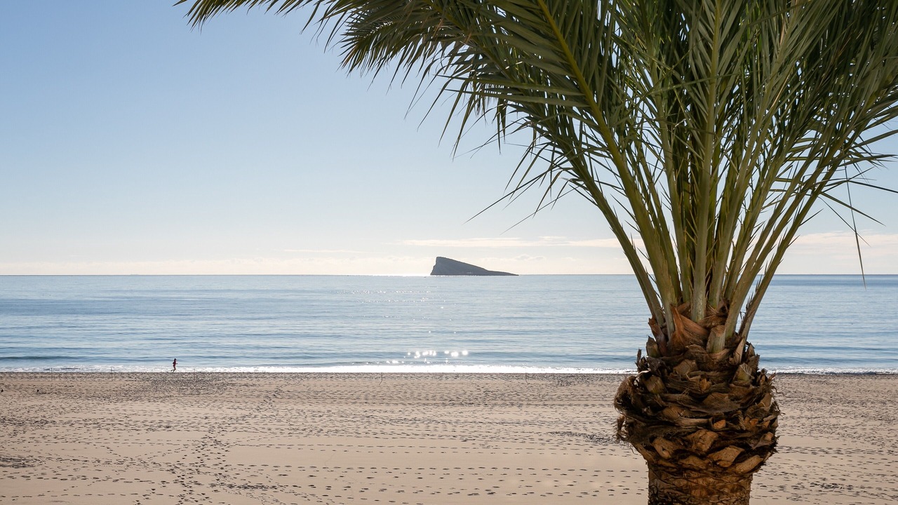 Photo of Others in Cala