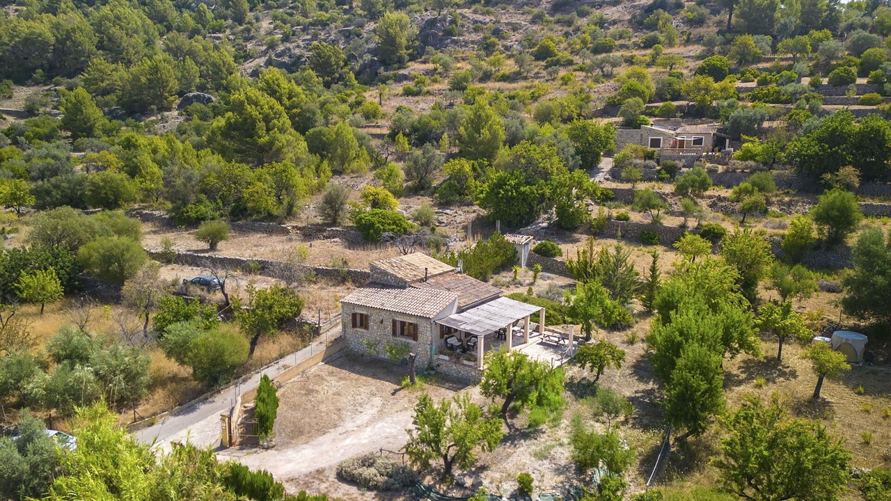 Photo of Others in Mancor de la Vall