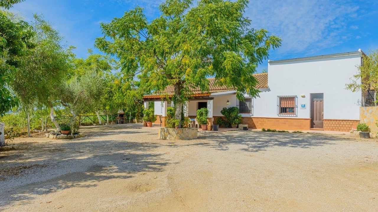 Photo of Outdoor in Prado del Rey