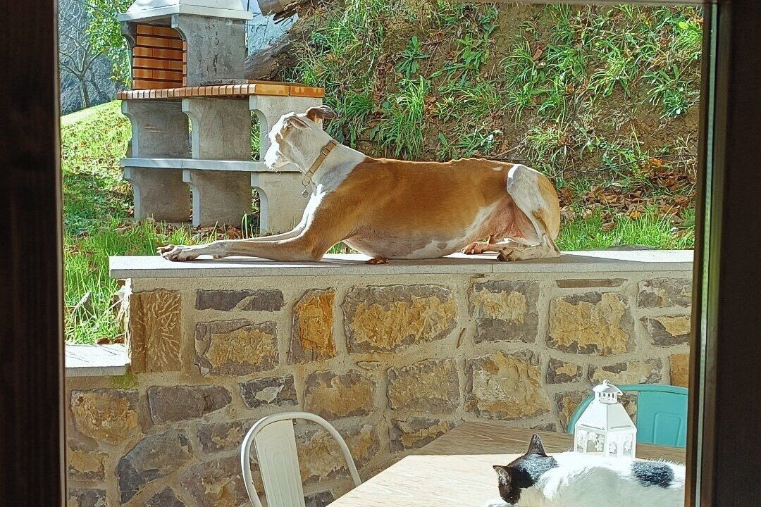 Photo of Others in Ribadesella