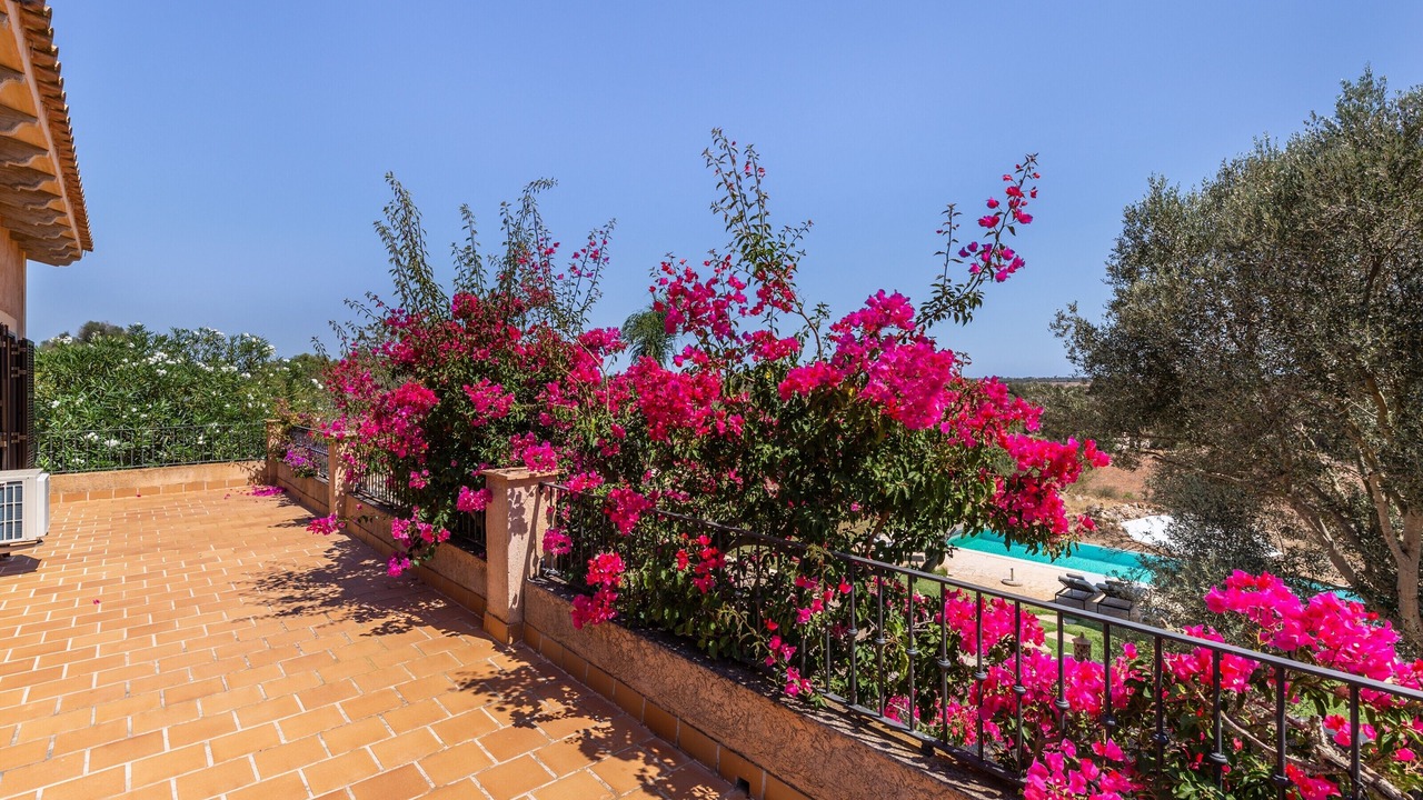 Photo of Outdoor in Ses Salines