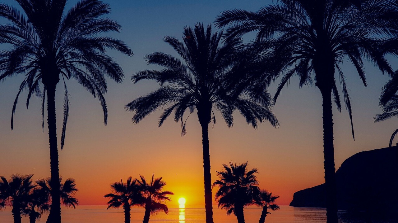 Photo of Outdoor in La Herradura
