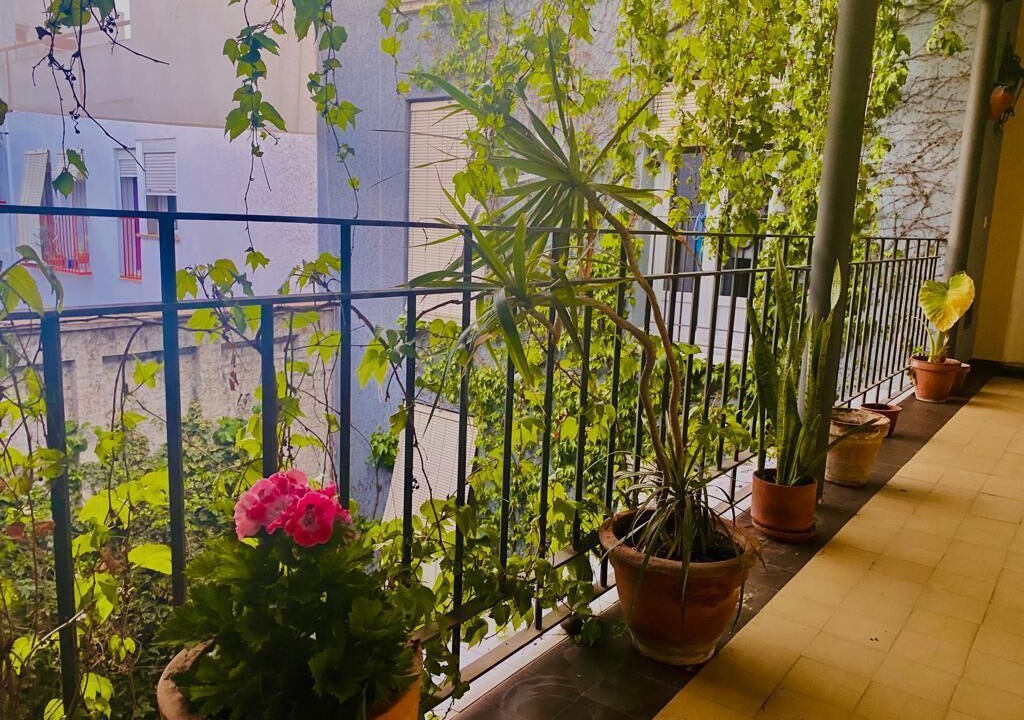 Photo of Outdoor in Santa Catalina