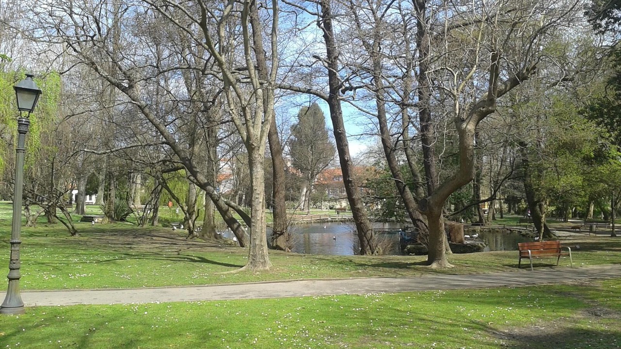 Photo of Outdoor in Aviles