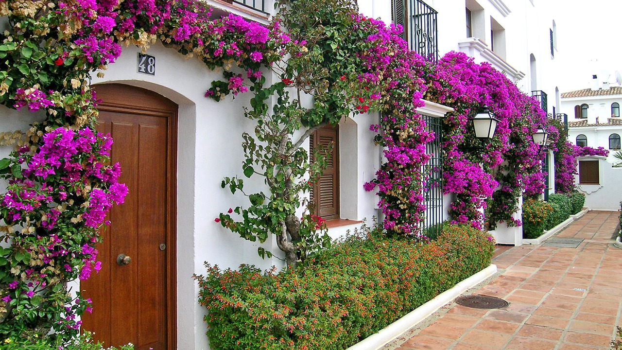 Photo of Outdoor in Playa del Sol-Villacana