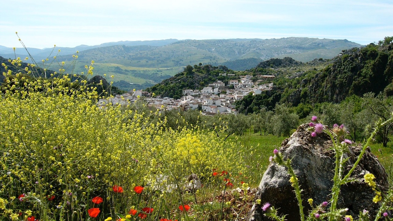 Photo of Outdoor in Montejaque