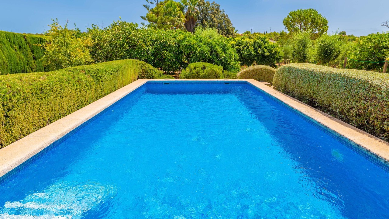 Photo of Outdoor in Selva