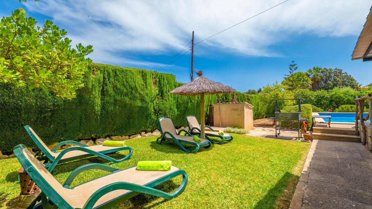 Photo of Outdoor in Selva