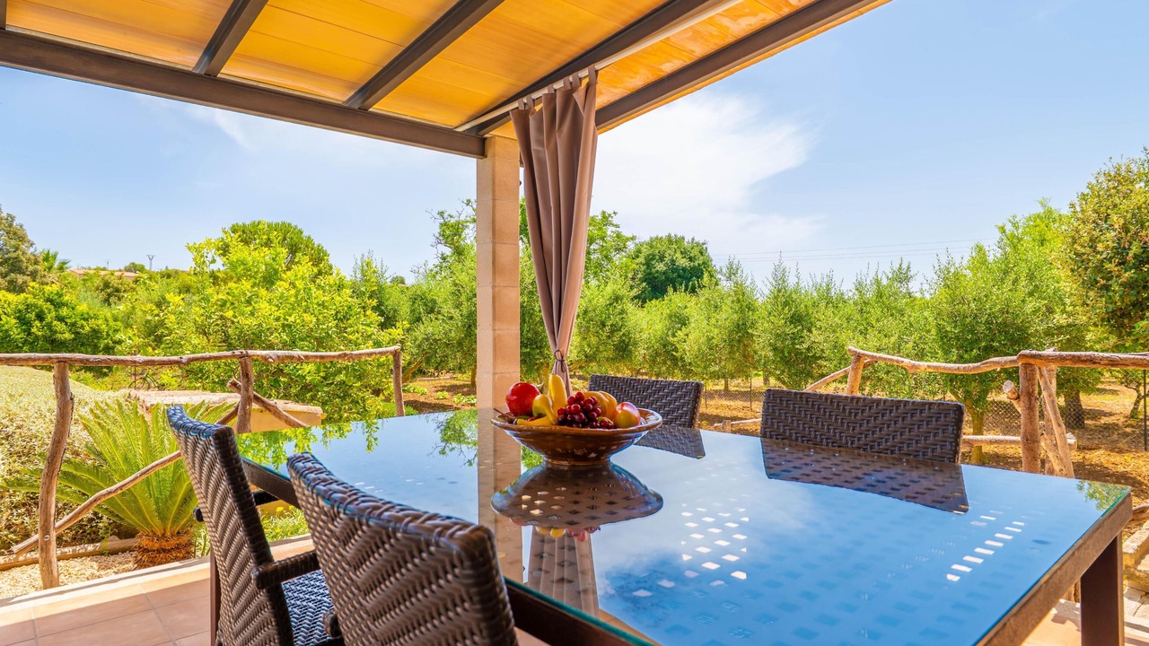 Photo of Outdoor in Selva