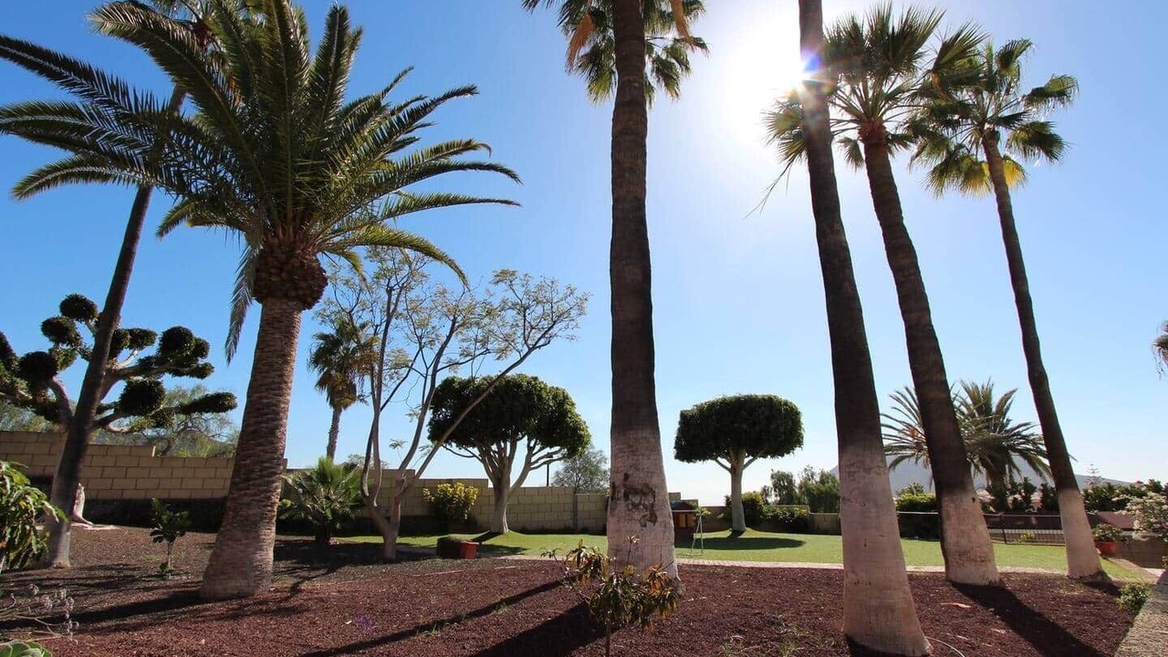 Photo of Outdoor in Chayofa