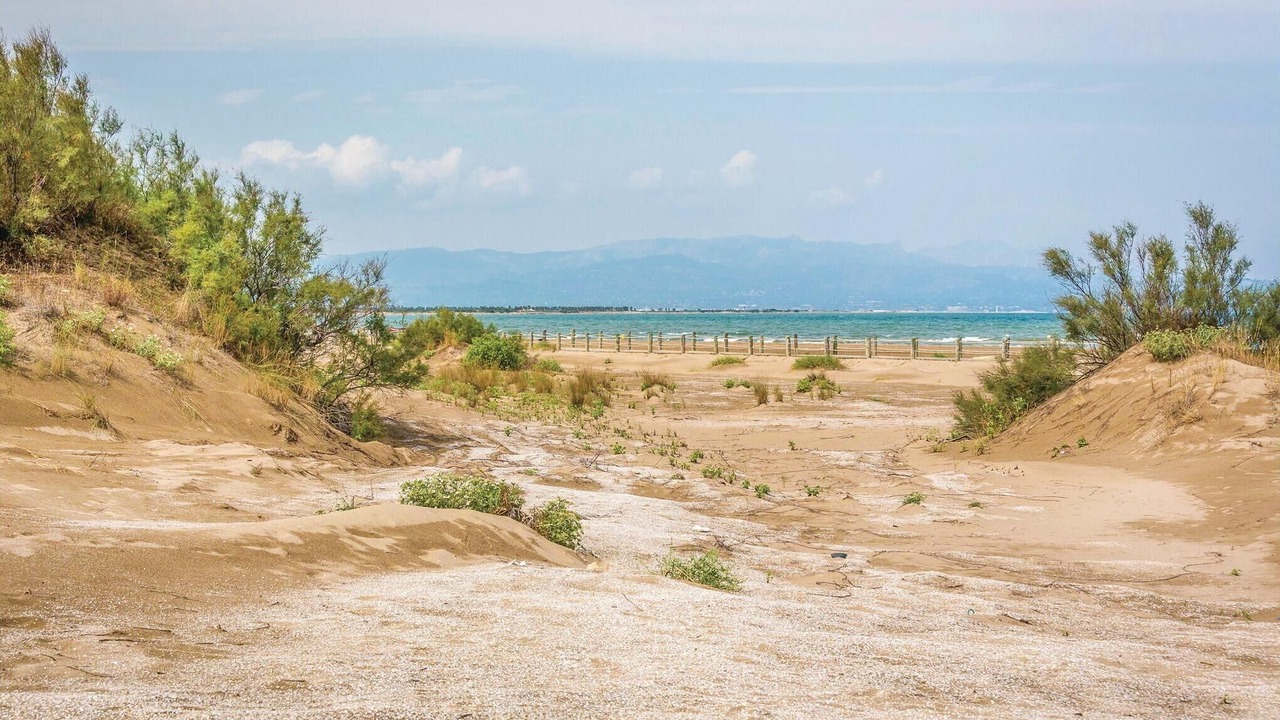 Photo of Others in Riumar