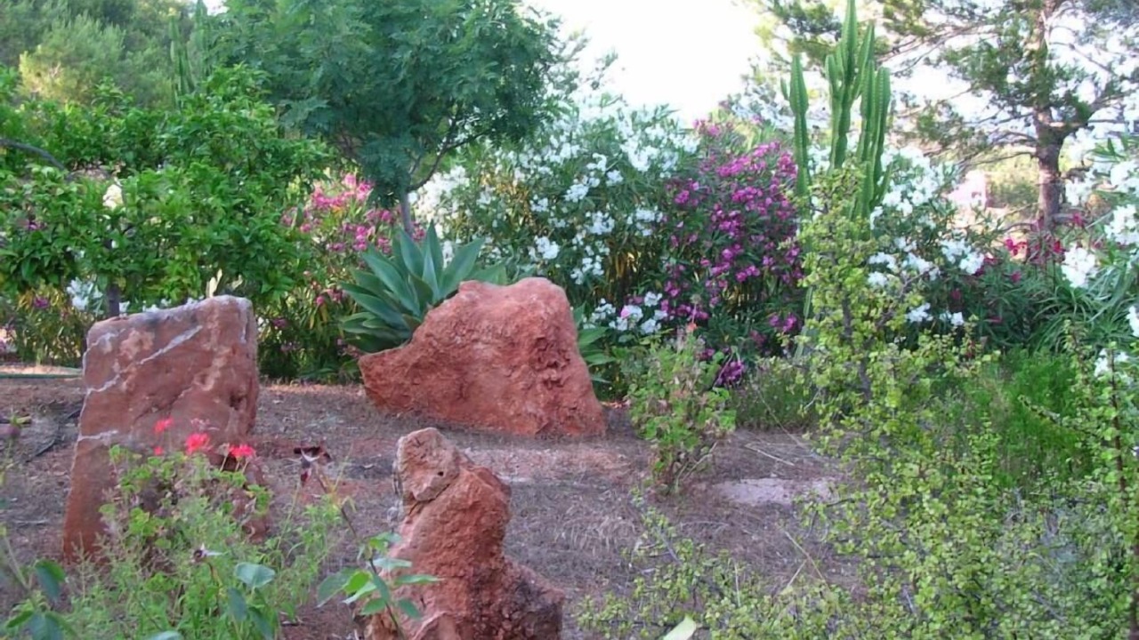Photo of Outdoor in Santa Eulalia del Rio