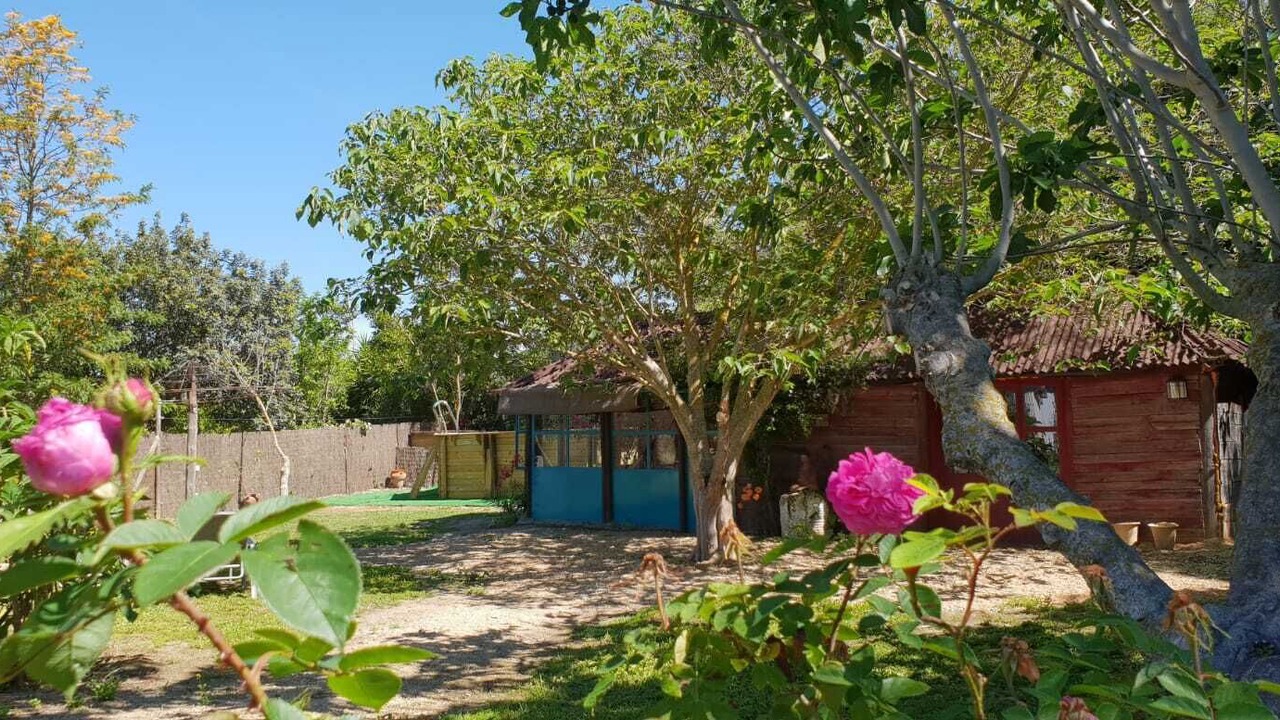 Photo of Outdoor in Jerez de la Frontera