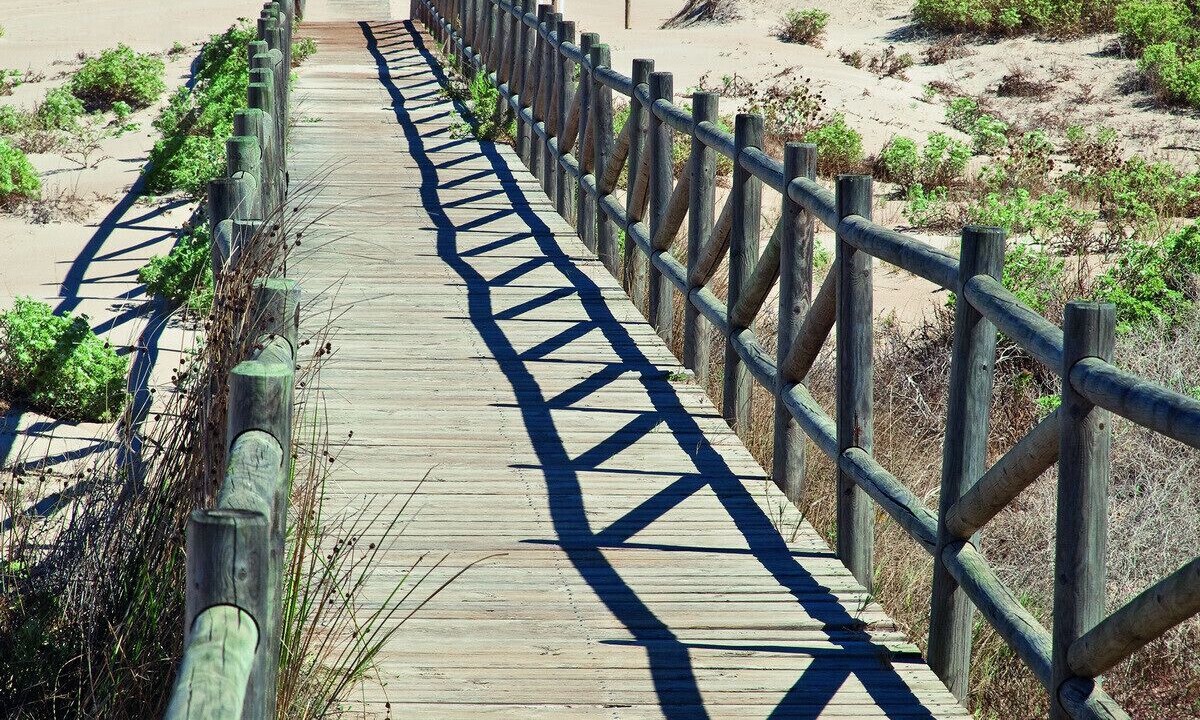 Photo of Others in Playa de Gandia