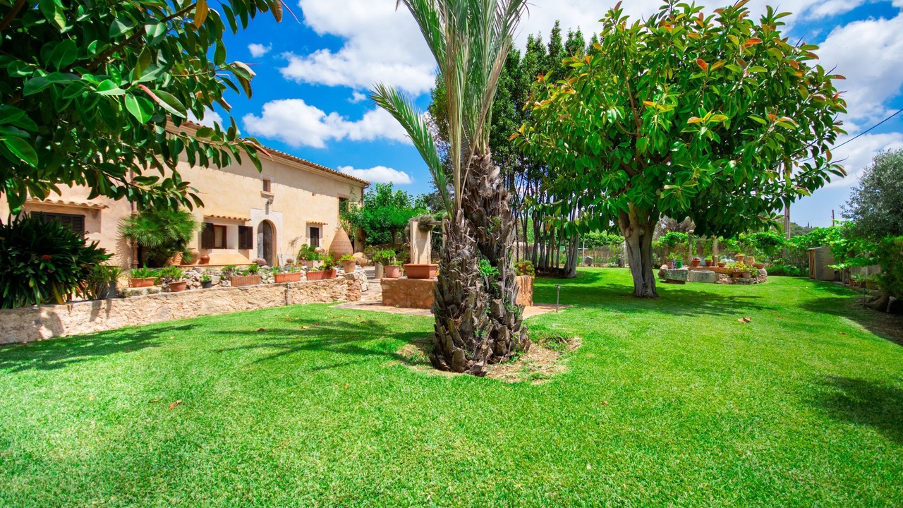 Photo of Outdoor in S Horta