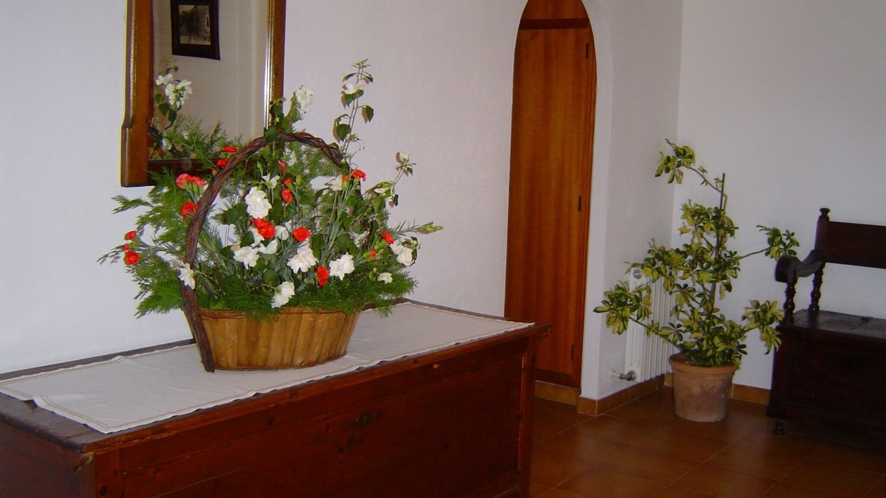 Photo of Others in Pollensa