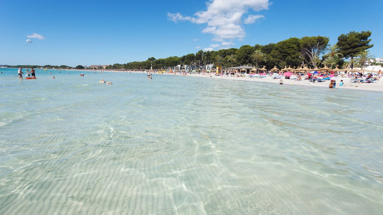 Photo of Others in Alcudia