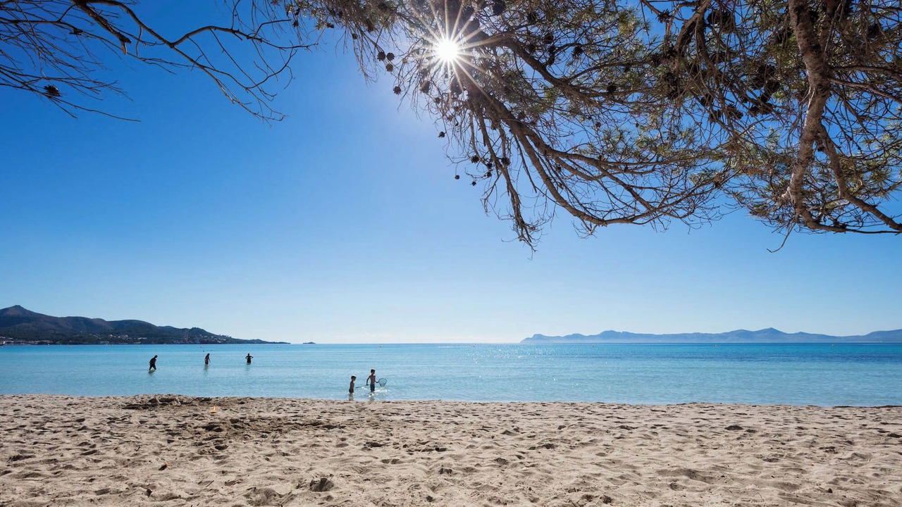 Photo of Others in Alcudia