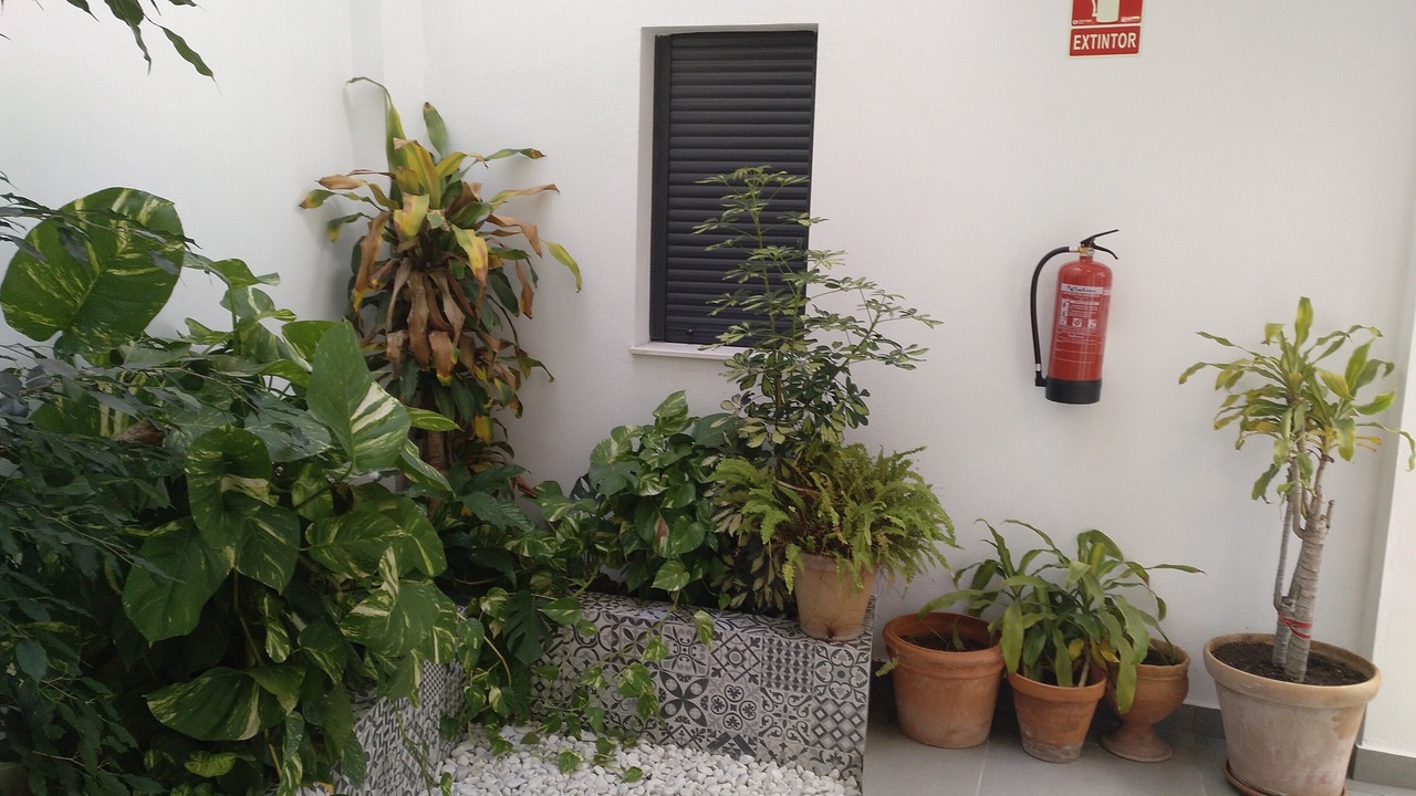 Photo of Outdoor in San Bartolome
