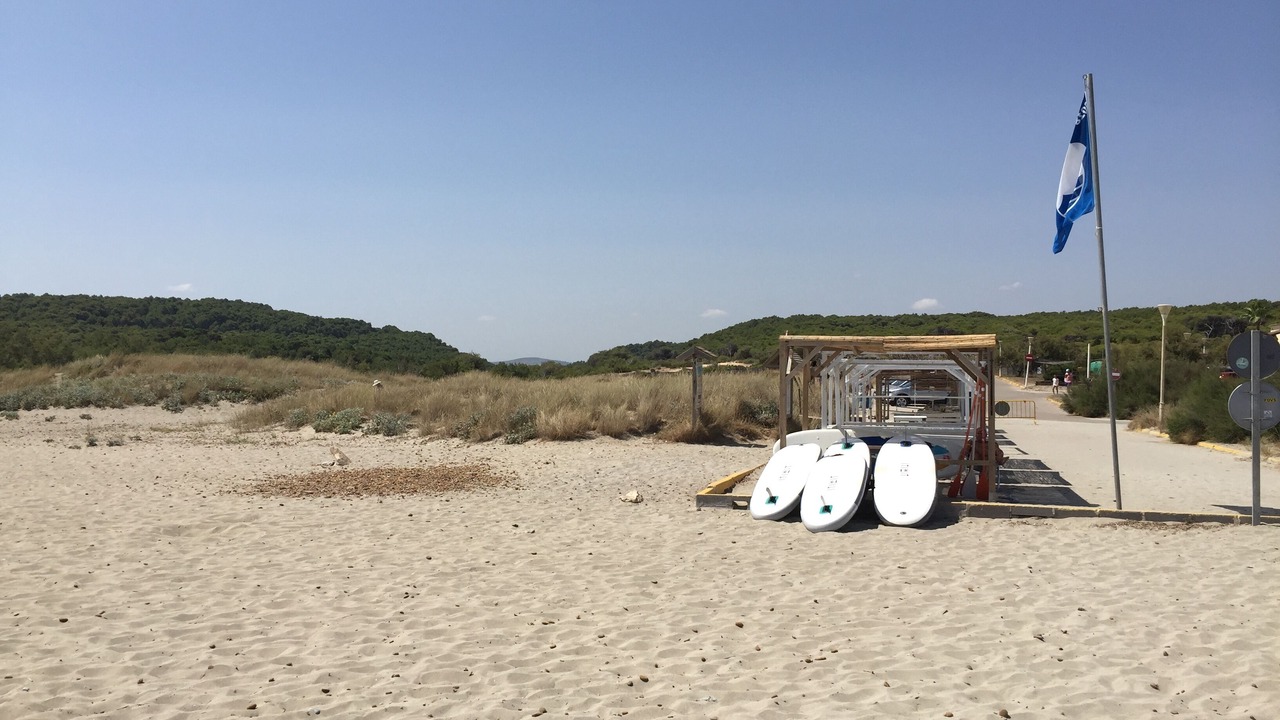 Photo of Others in Son Serra de Marina