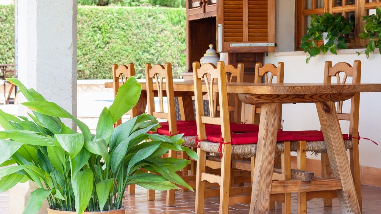 Photo of Outdoor in Selva