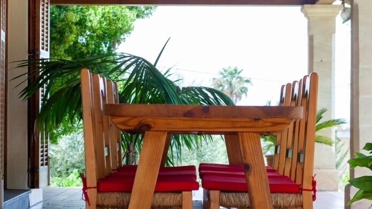 Photo of Outdoor in Selva