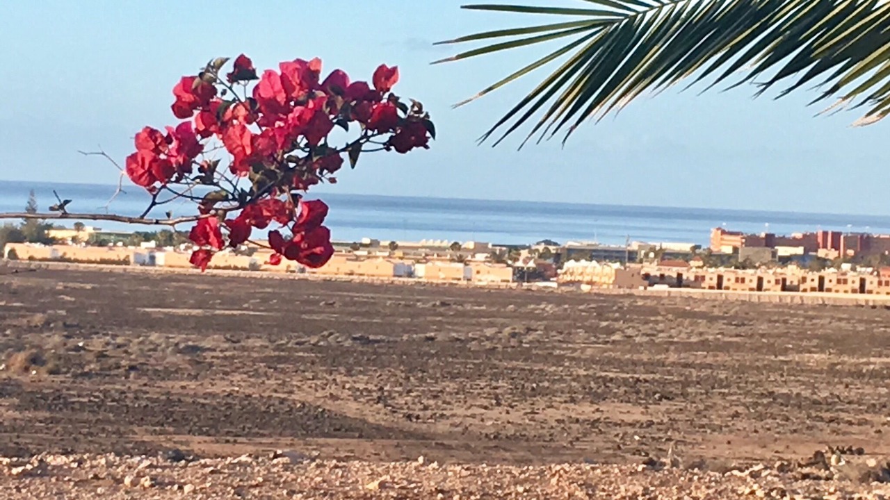 Photo of Others in Nuevo Horizonte