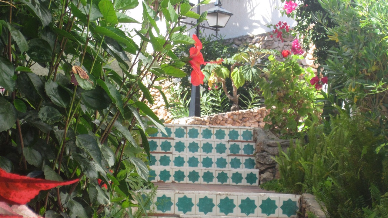 Photo of Outdoor in Nerja