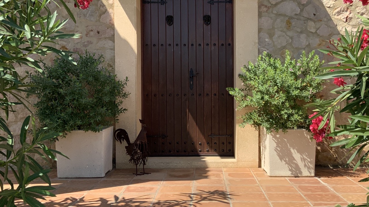 Photo of Outdoor in Alcudia