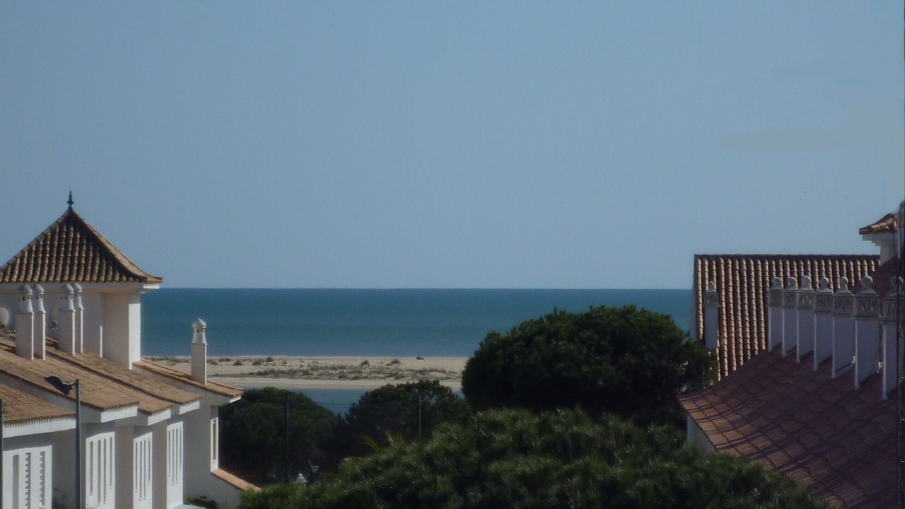 Photo of Others in Nuevo Portil