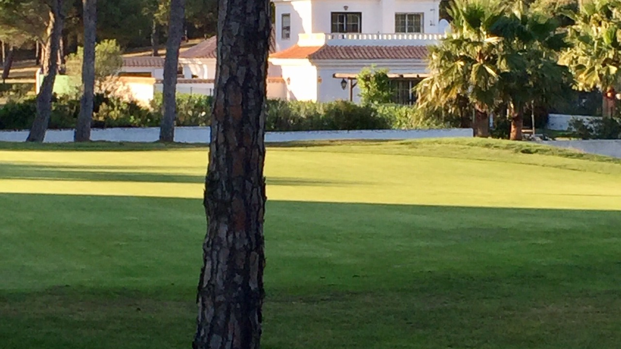 Photo of Others in Nuevo Portil