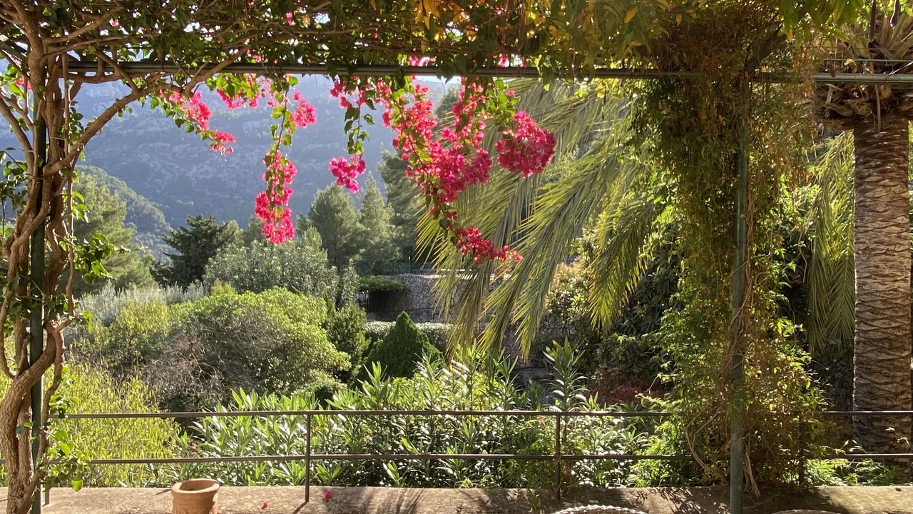 Photo of Outdoor in Soller