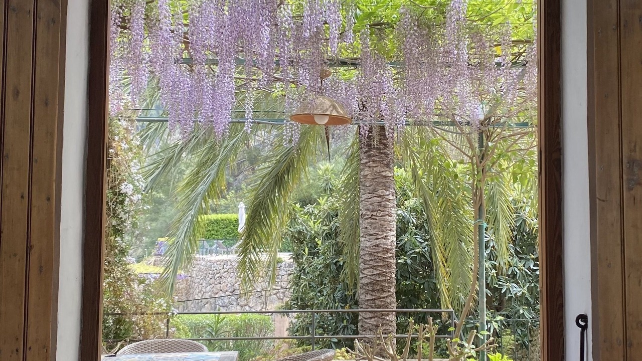 Photo of Bedroom in Soller
