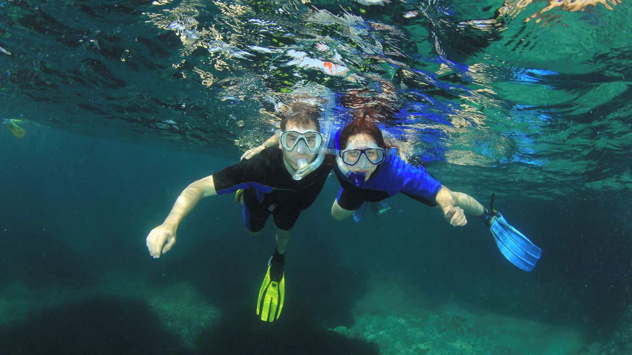 Photo of Others in Puerto de Pollensa
