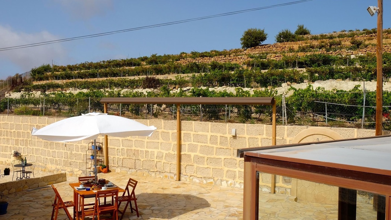 Photo of Outdoor in Arico
