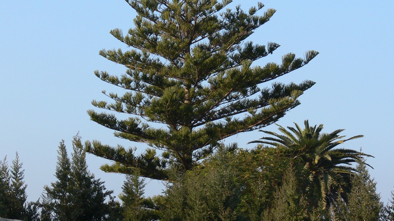 Photo of Others in Zahora