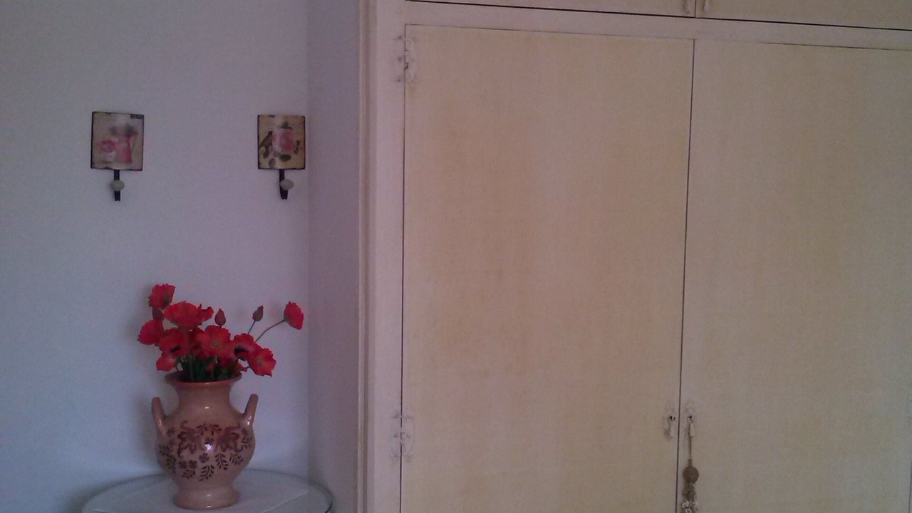 Photo of Others in Pollensa