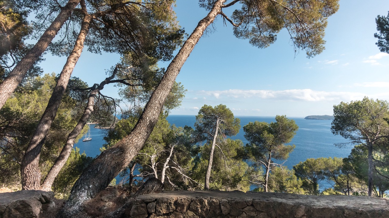 Photo of Outdoor in Cala San Vicente