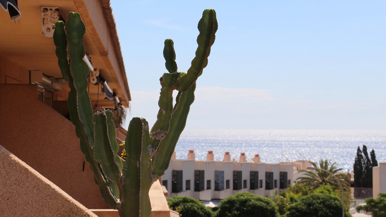 Photo of Outdoor in Coveta Fuma