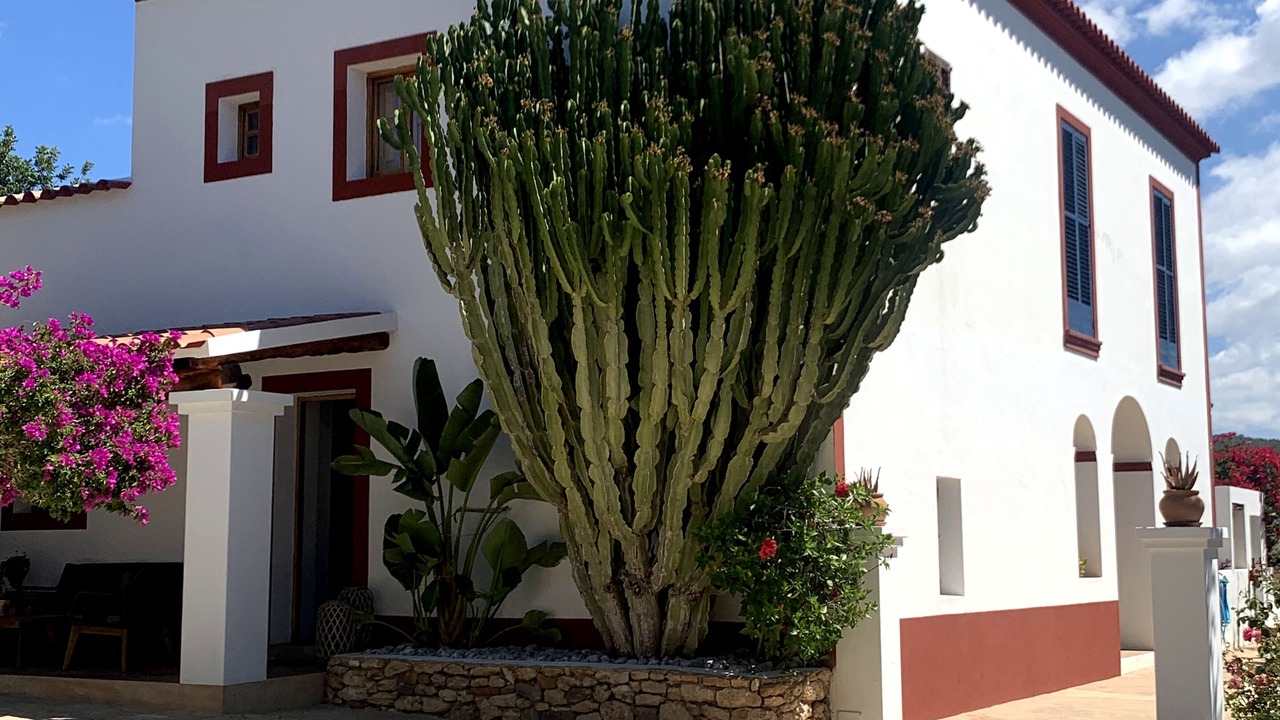 Photo of Outdoor in Sant Antoni de Portmany