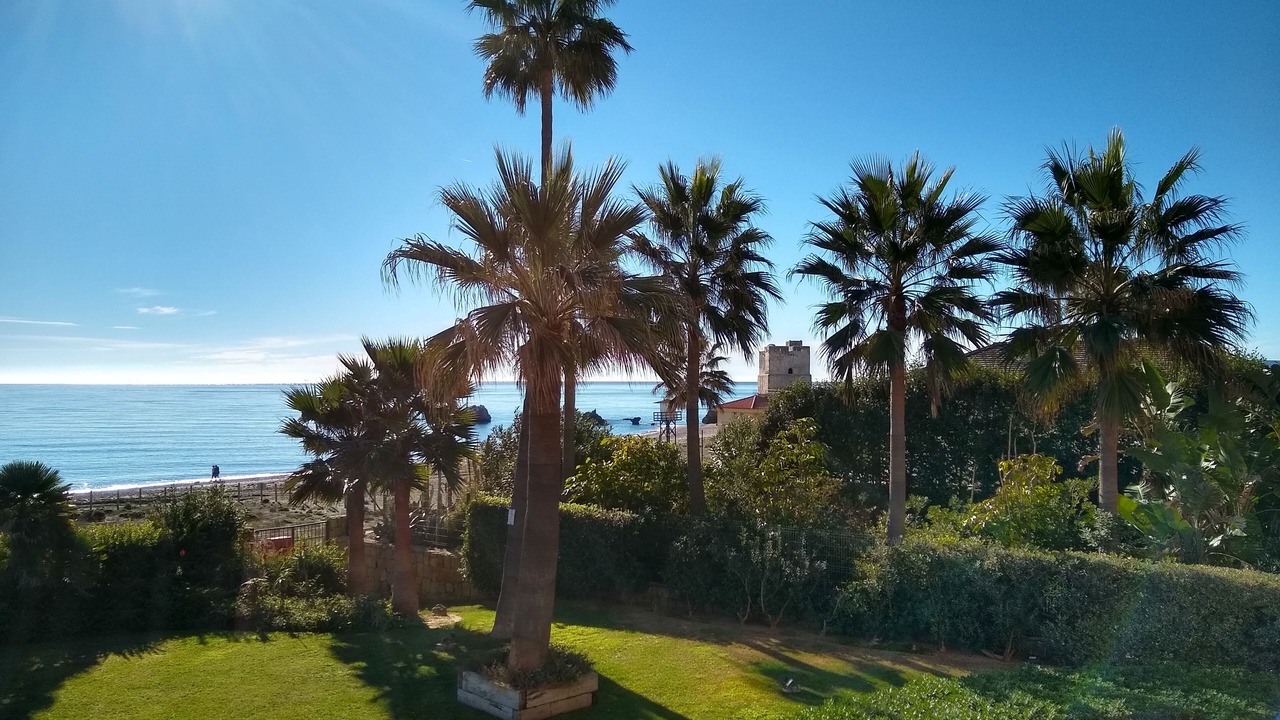 Photo of Others in Bahia de Casares