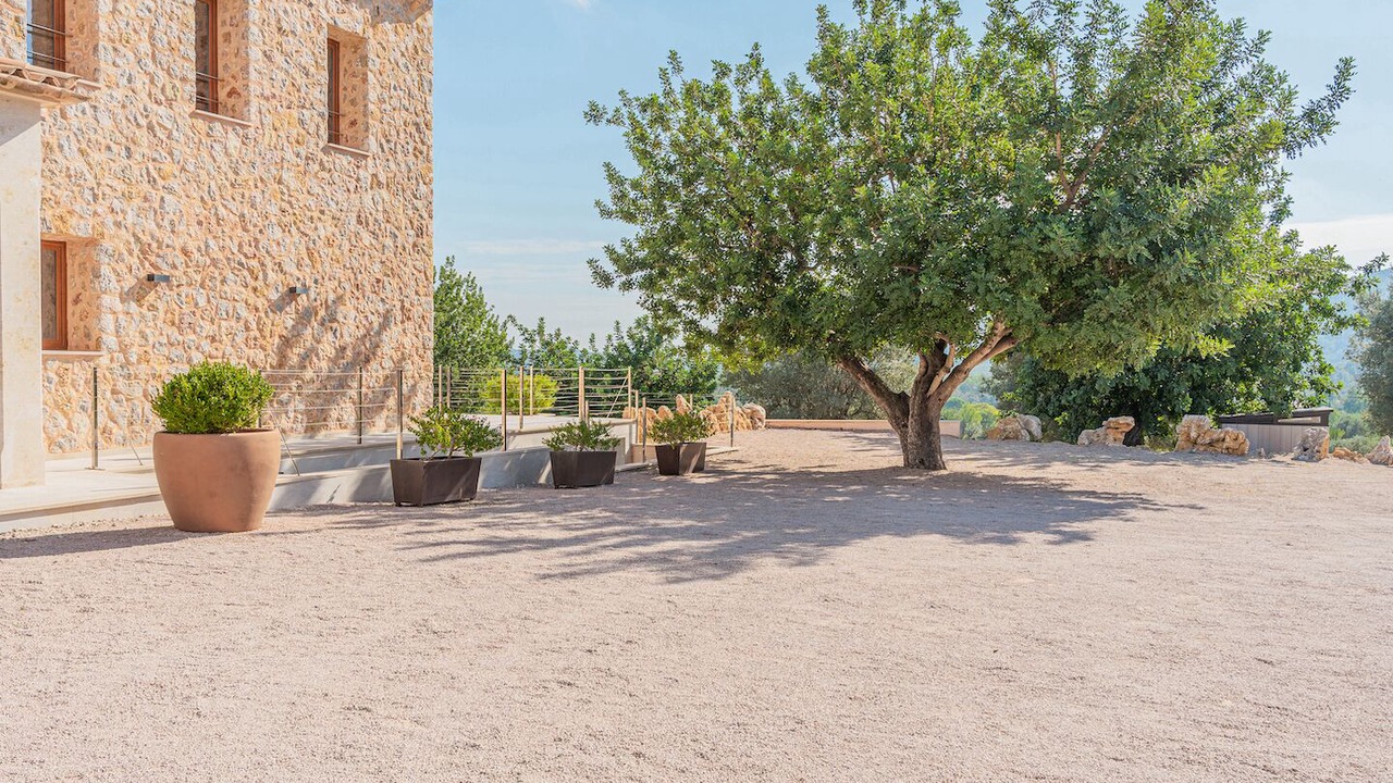 Photo of Others in Pollensa